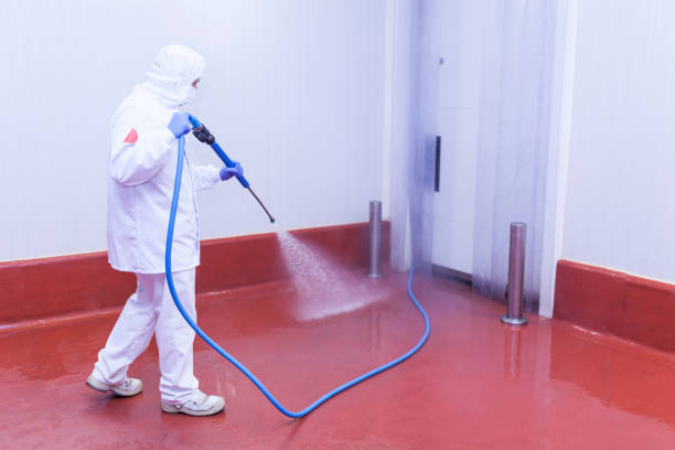 Best House Exterior Washing  in South Haven, IN